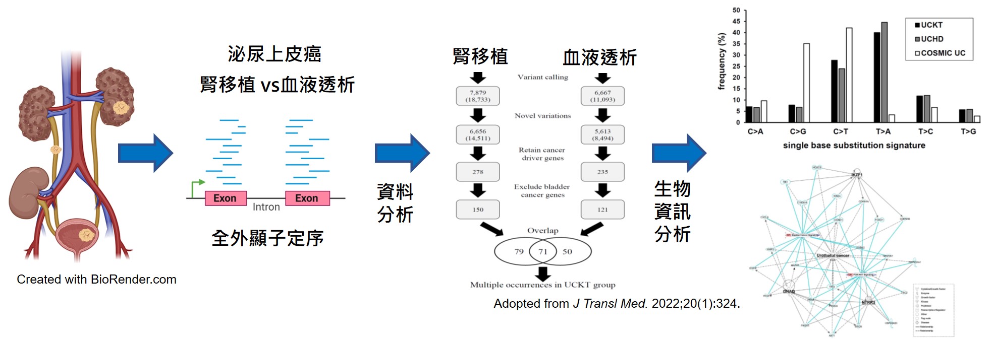 郭弘典 腎移植術後泌尿上皮癌的基因變異 中文圖形摘要