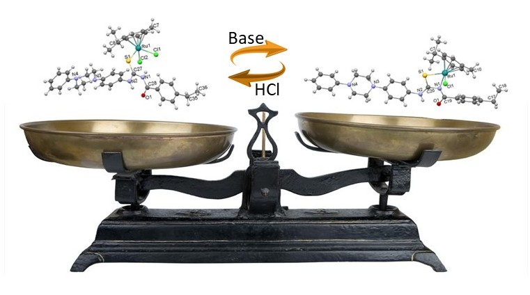 許智能教授圖形摘要