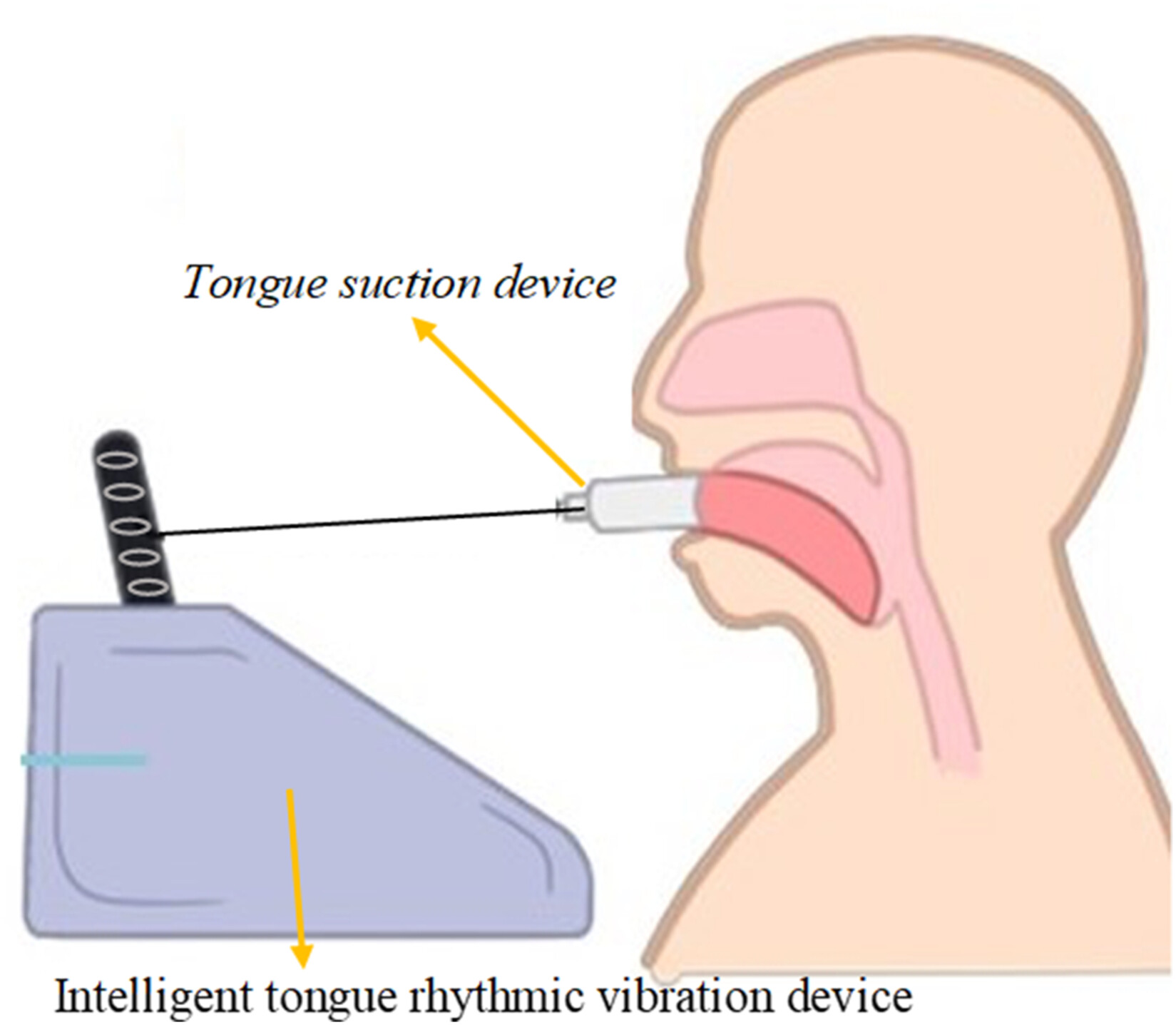陳嘉炘醫師圖形摘要