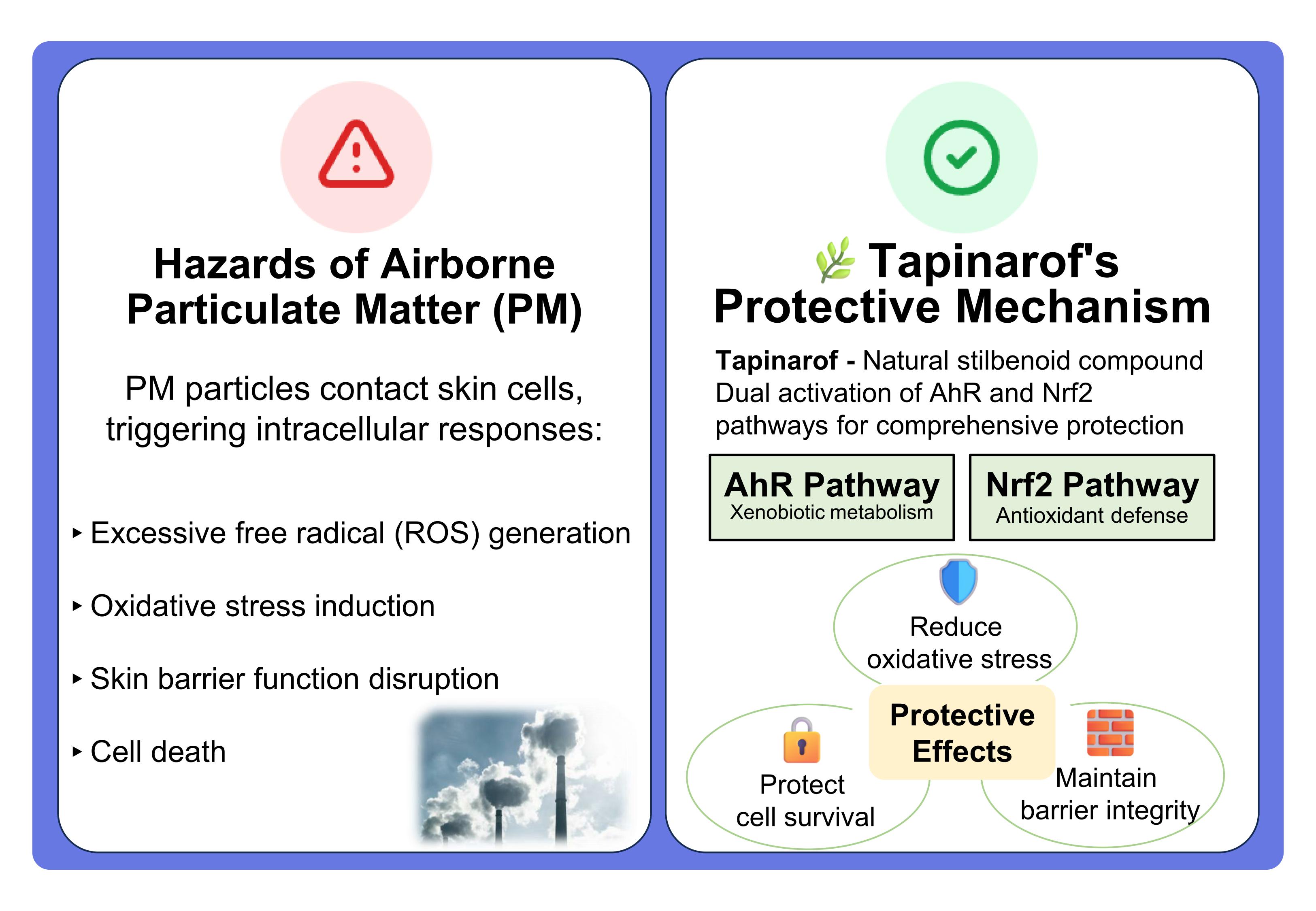 陳宜芳副教授圖形摘要 EN