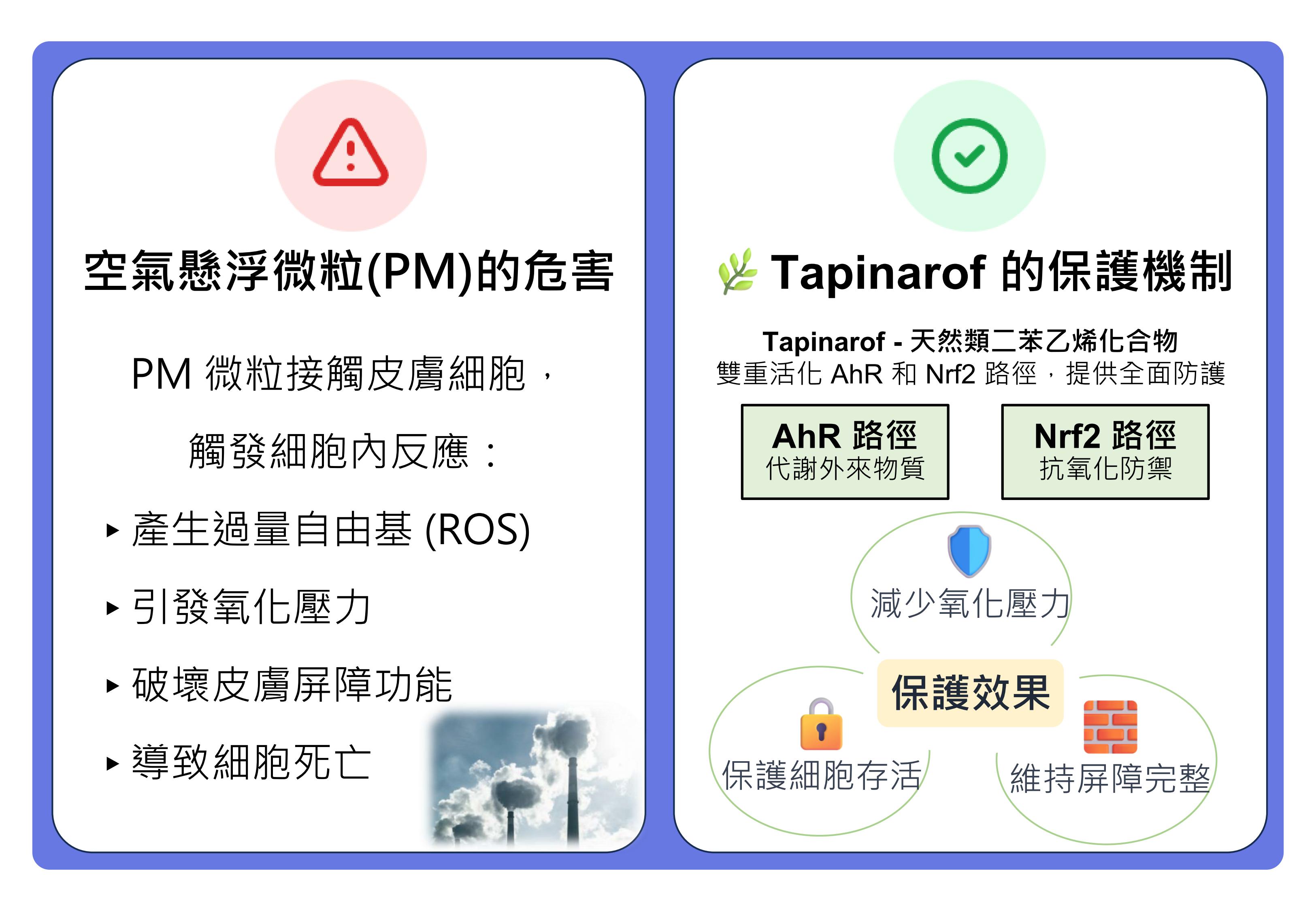 陳宜芳副教授圖形摘要 中文版